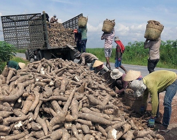 Mặt hàng nào Việt Nam xuất khẩu đứng thứ 2 thế giới trong tháng 8 ?