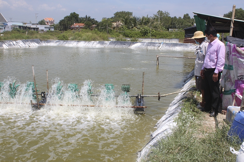 Nguồn vốn tín dụng chính sách là đòn bẫy giúp người dân Long An triển khai thành công nhiều mô hình kinh tế.