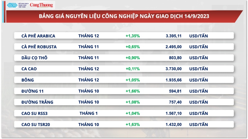 Xuất khẩu cà phê  tăng cao, Việt Nam quyết xây dựng vùng cà phê đạt chuẩn