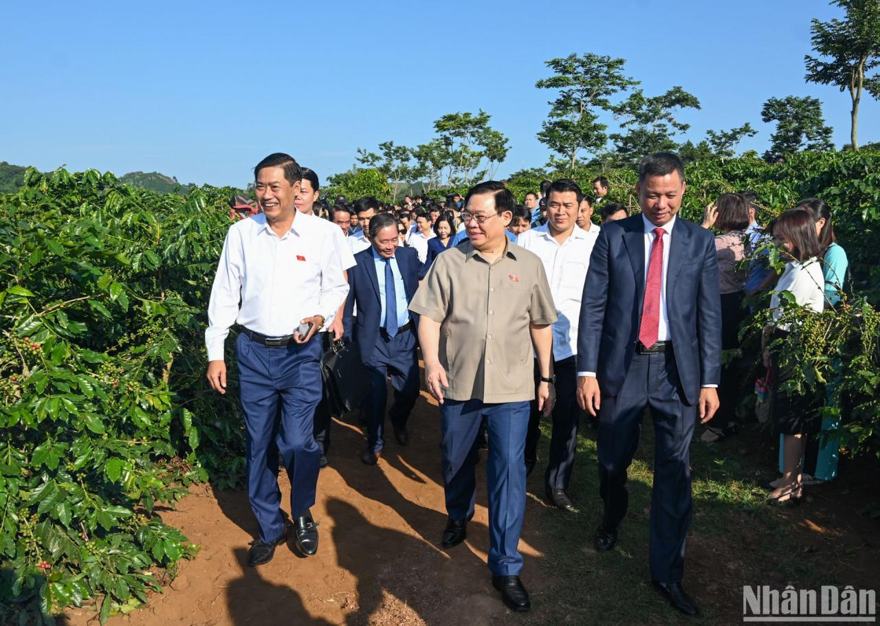 Chủ tịch Quốc hội Vương Đình Huệ thăm vùng trồng cà-phê tại bản Hoàng Văn Thụ, xã Hua La, thành phố Sơn La. 