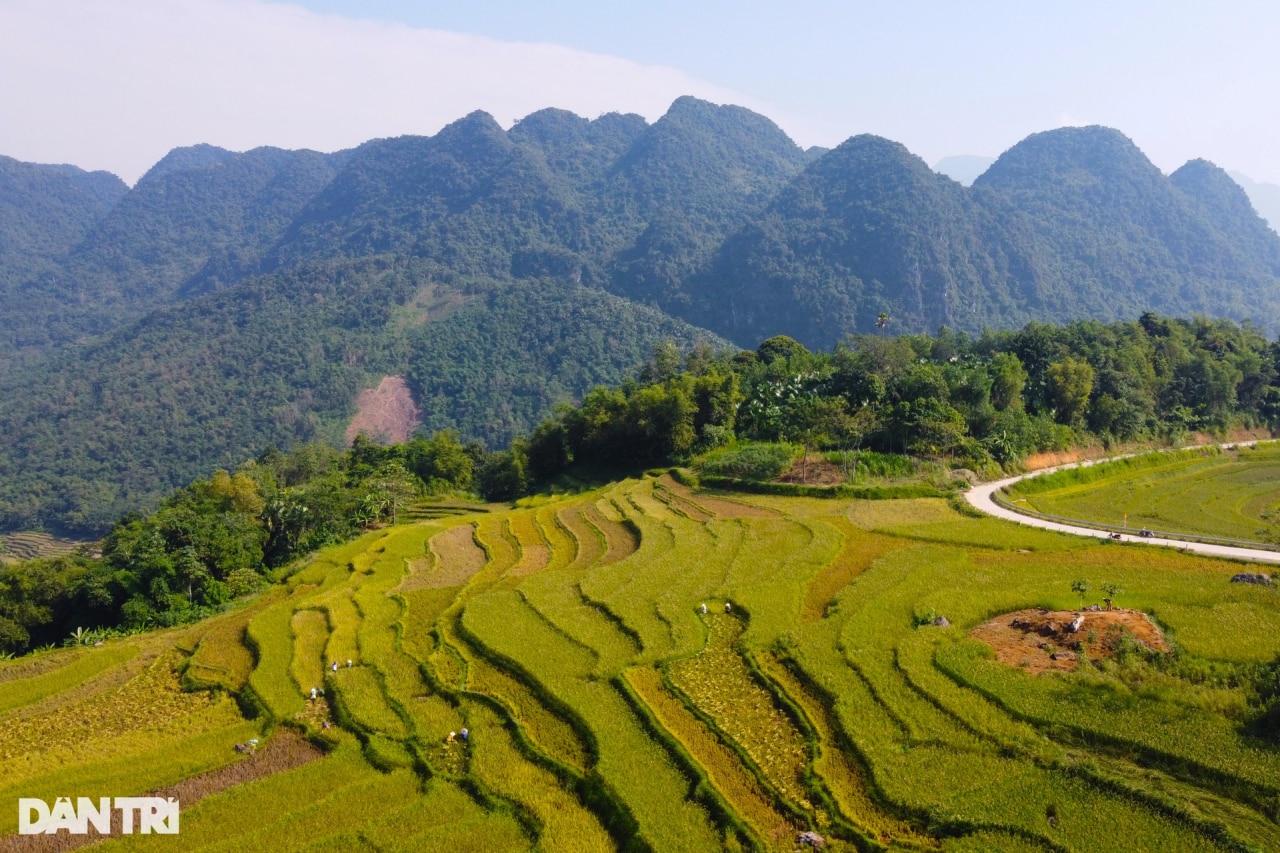 Mê mẩn ngắm mùa vàng trên đỉnh Pù Luông - 1