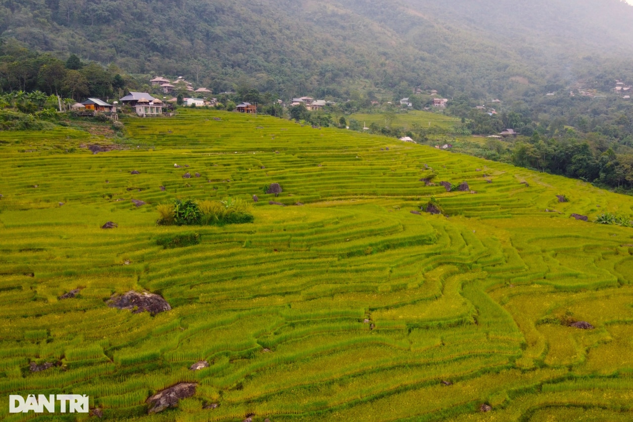 Mê mẩn ngắm mùa vàng trên đỉnh Pù Luông - 2