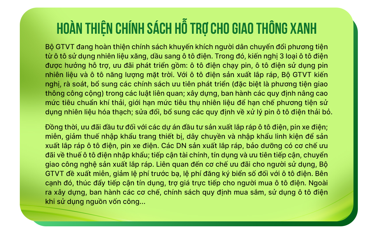 Việt Nam tăng tốc giao thông xanh - Ảnh 4.