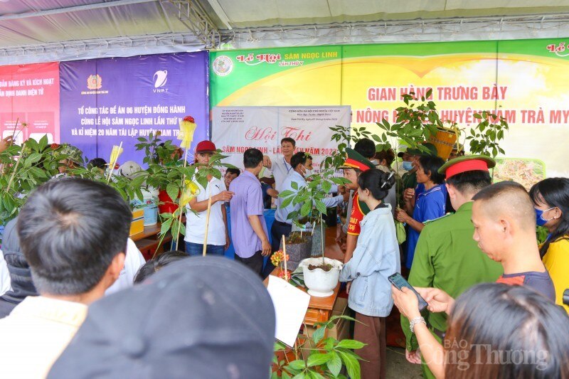 Quảng Nam: Tập trung ngăn ngừa quảng cáo, mua bán sản phẩm sâm Ngọc Linh giả trên mạng xã hội