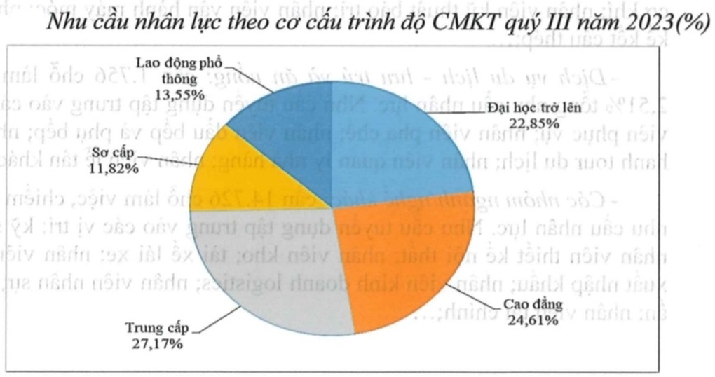 77% lao động đang tìm việc có trình độ đại học trở lên - 2