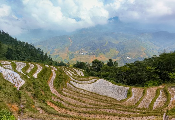 Một mảnh ruộng trên núi của đồng bào vừa thu hoạch xong ảnh 6