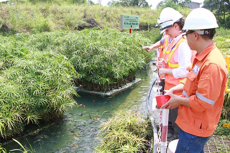 Khách hàng quốc tế thăm quan các khu vực bảo vệ môi trường tại mỏ Núi Pháo. Ảnh: Masan Group