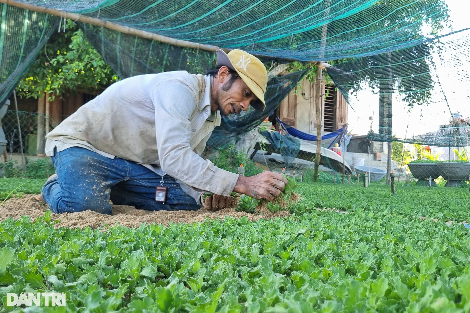 Những người gom nắng khơi màu, gọi Tết - 2