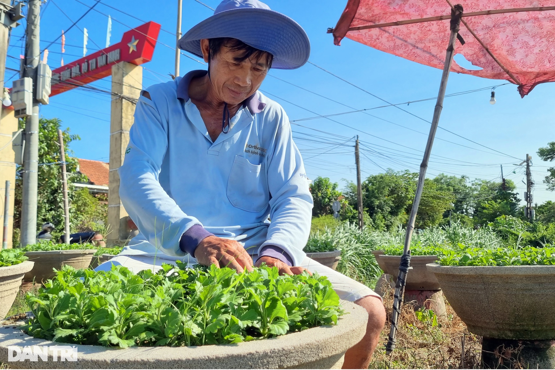 Những người gom nắng khơi màu, gọi Tết - 7