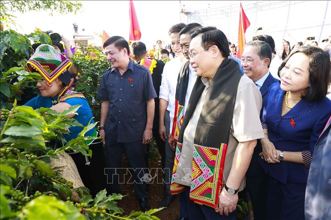 gan ket giua san xuat che bien tieu thu va xuat khau ca phe o son la hinh 2