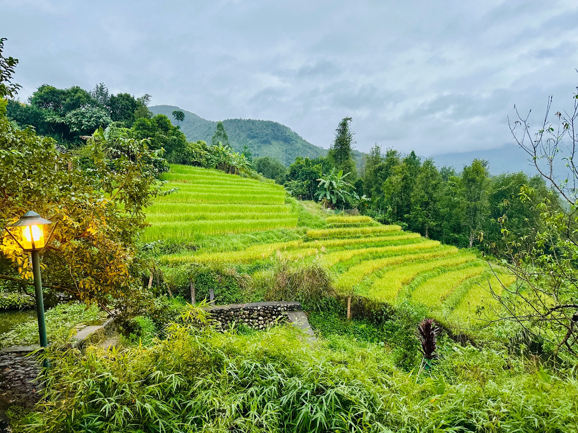 Du khách đổ xô về Bình Liêu trải nghiệm lễ hội mùa vàng  - Ảnh 2.