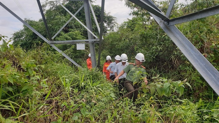 Phối hợp với các cơ quan chức năng tại địa phương tăng cường kiểm tra bảo vệ an toàn hành lang lưới điện truyền tải. 