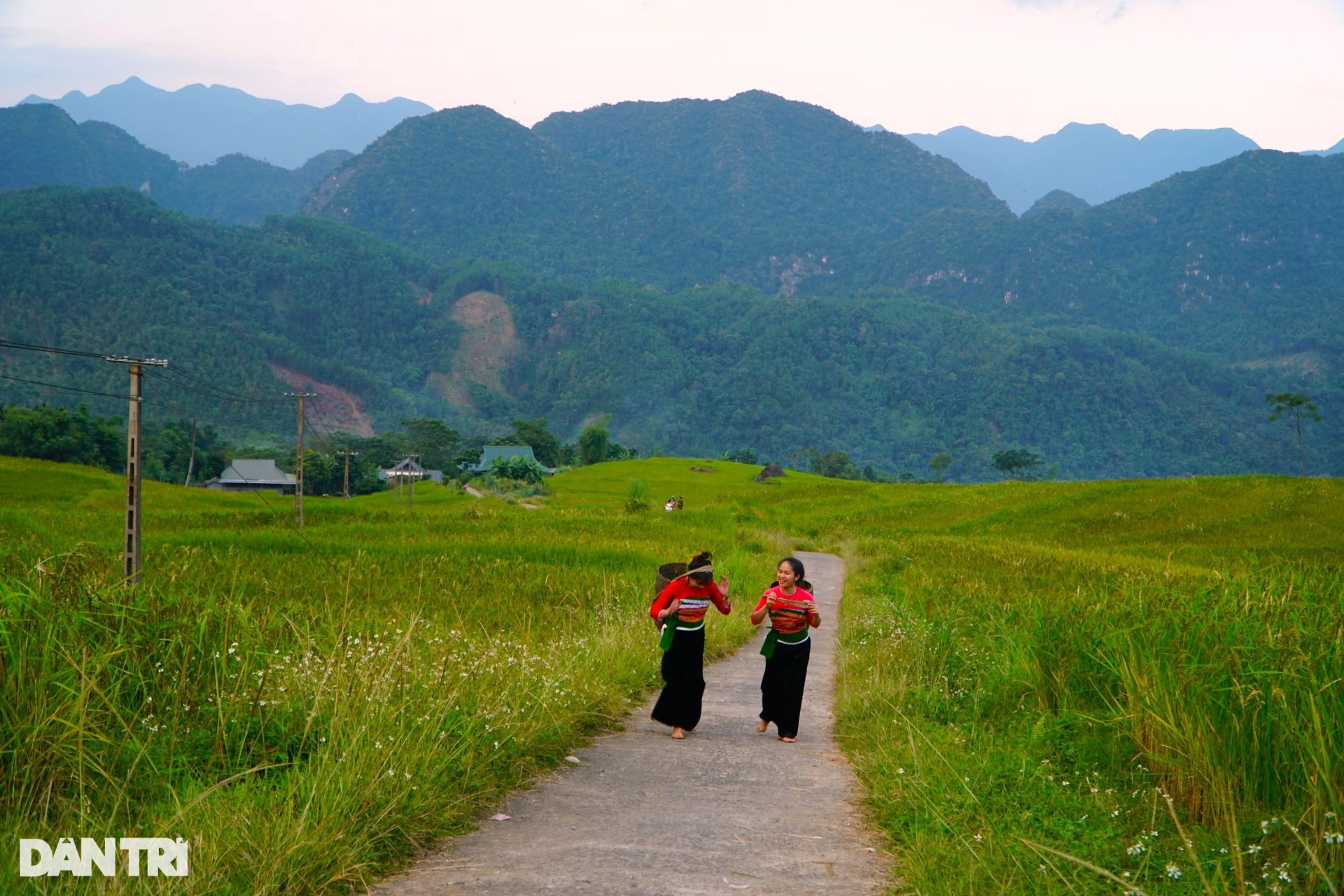 Mê mẩn ngắm mùa vàng trên đỉnh Pù Luông - 8