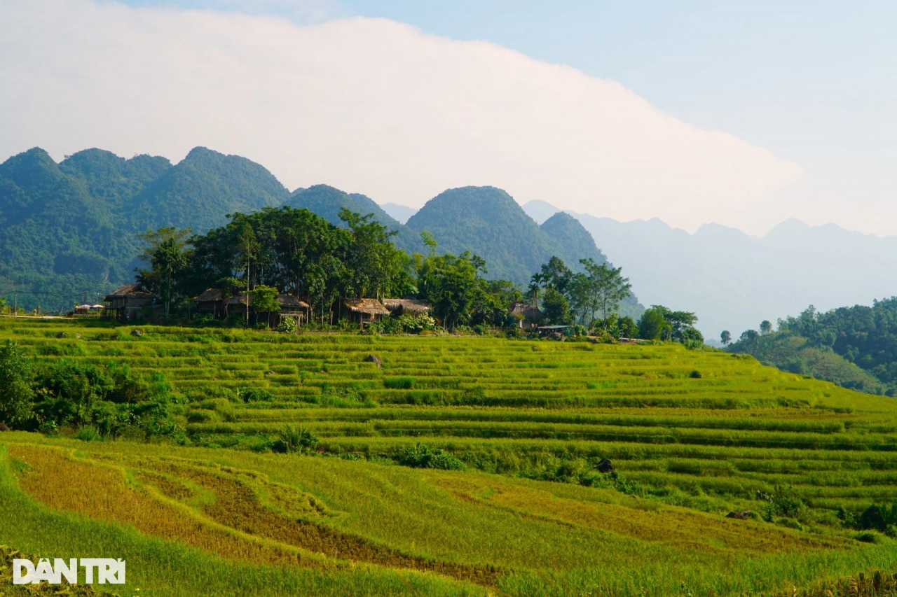 Mê mẩn ngắm mùa vàng trên đỉnh Pù Luông - 10