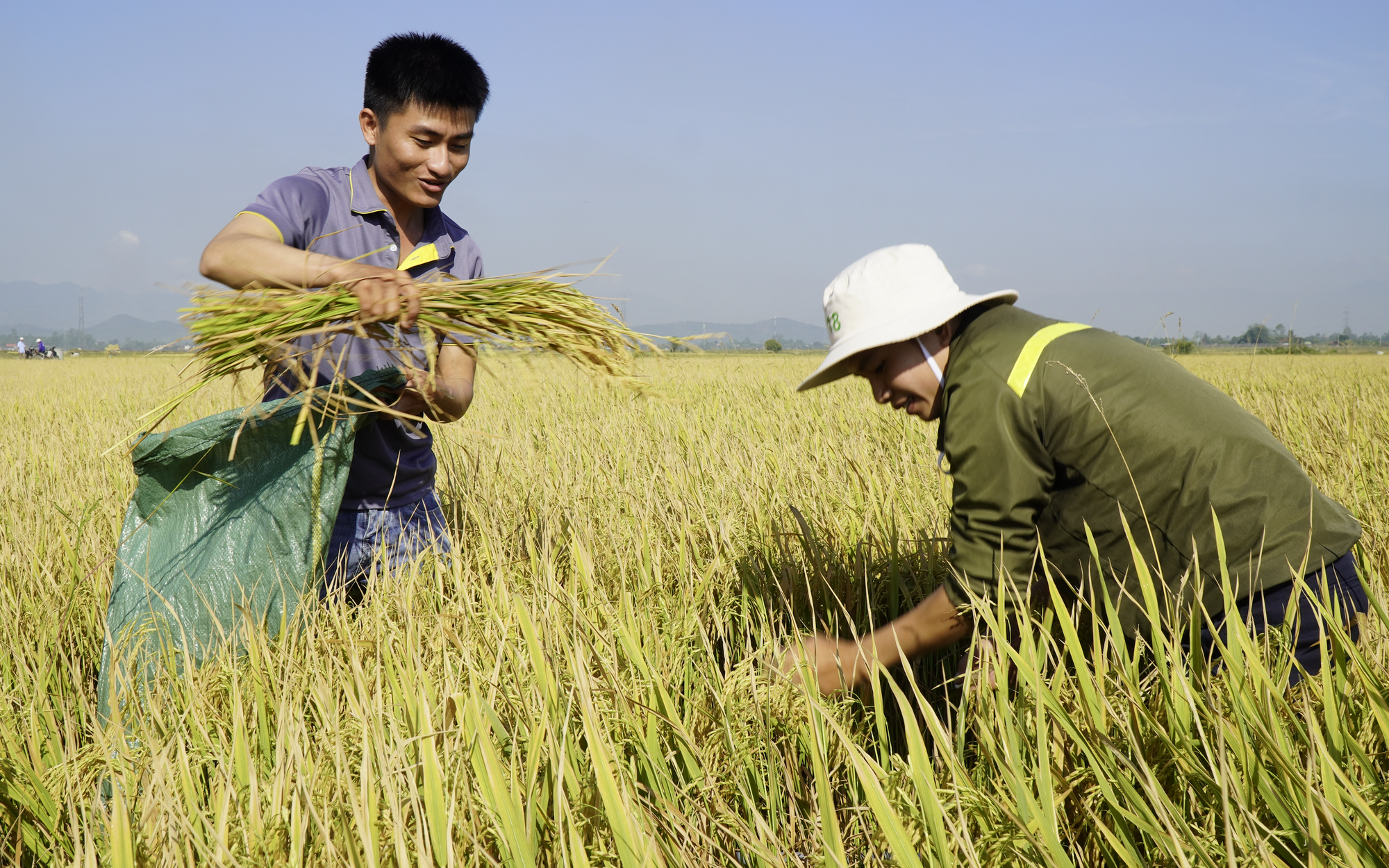 Cách làm mới giúp nông dân giảm 30% lượng phân bón xuống đồng - Ảnh 1.