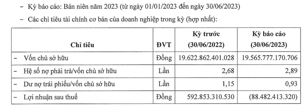 Công ty địa ốc 3 tỷ USD chỉ sau Vinhomes, Novaland công bố lỗ lãi đầu năm - 1