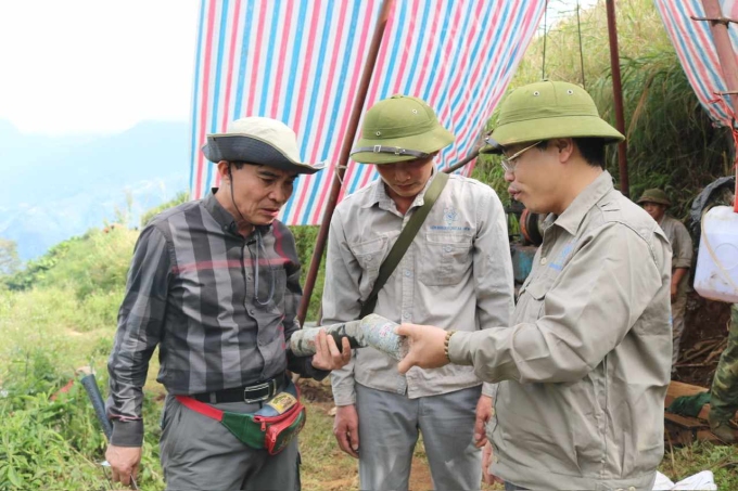 Mẫu quặng ở mỏ Bắc Nậm Xe được Liên đoàn Địa chất xạ - hiếm lấy năm 2020. Ảnh: NVN