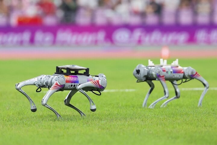 Chó robot làm nhiệm vụ ở ASIAD 19. (Ảnh: Getty Images)