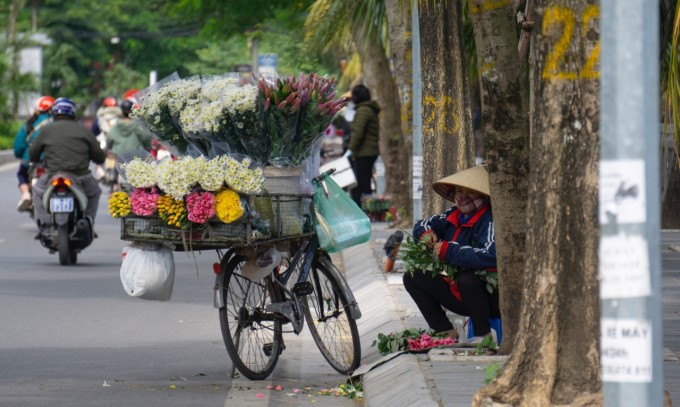 Những xe hoa làm nên nét đặc trưng của Hà Nội. Ảnh: Unsplash