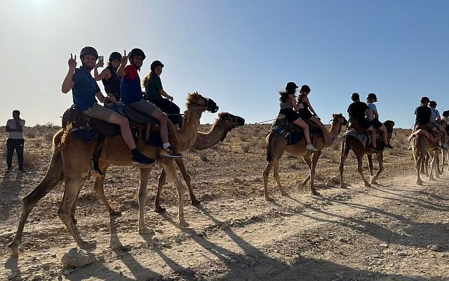 Tour cưỡi lạc đà tại Israel. Ảnh: Miriam Edelstein/Times of Israel