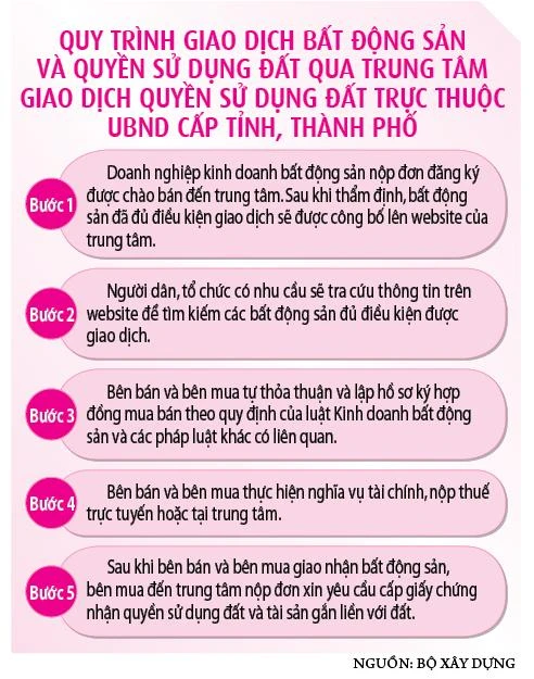 Nhà nước “ôm” cả sàn giao dịch bất động sản có khả thi ? - Ảnh 4.