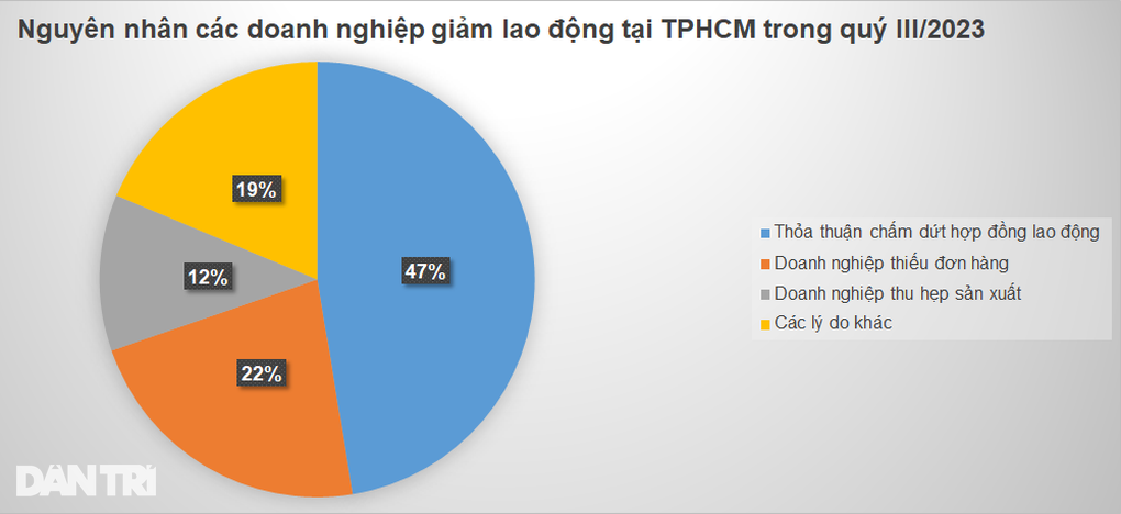 Nhiều dấu hiệu tích cực, TPHCM cần tuyển 75.000 lao động dịp cuối năm - 2