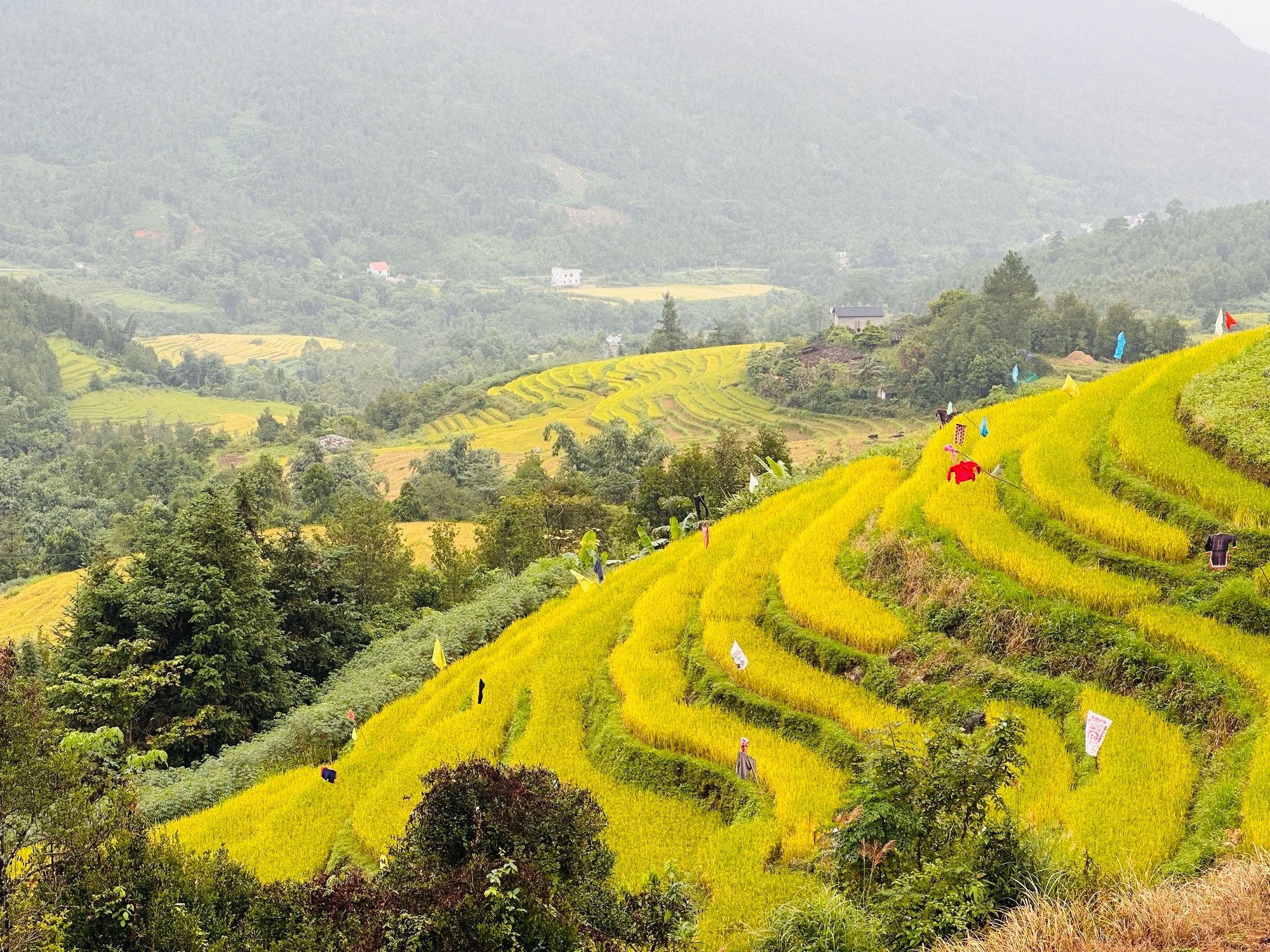 Du khách đổ xô về Bình Liêu trải nghiệm lễ hội mùa vàng  - Ảnh 1.