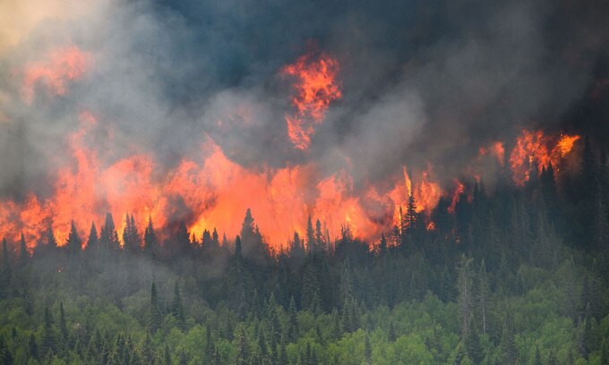 Cháy rừng ở Canada tháng 6/2023. Ảnh: Reuters