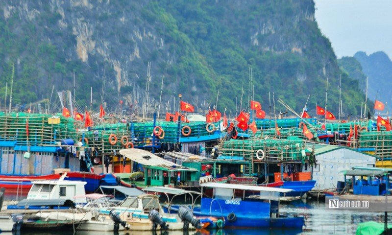 Chính sách - Gỡ “thẻ vàng” IUU: Thực hiện tại địa phương vẫn còn hạn chế  (Hình 2).