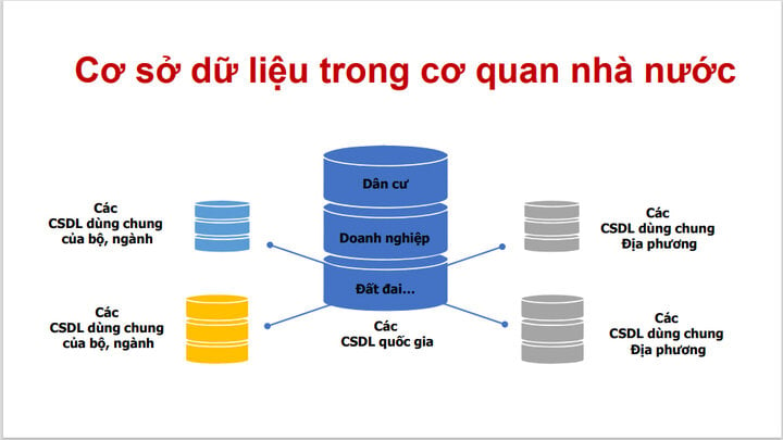 Các cơ sở dữ liệu đang được tích cực xây dựng, vận hành nhằm thúc đẩy tiến trình chuyển đổi số quốc gia.