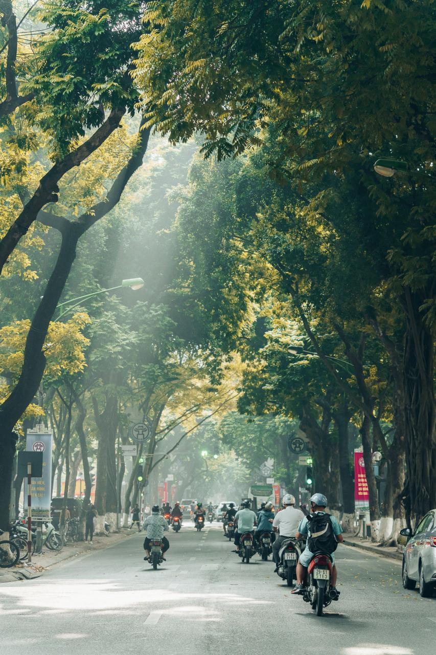 Trong bộ ảnh được nhiếp ảnh gia chia sẻ, buổi sáng mùa thu Hà Nội hiện lên nhẹ nhàng, thơ mộng với những tia nắng đầu tiên xuyên qua những tán cây trên phố Phan Đình Phùng xanh mát. Dòng người, xe từ thưa thớt đến tấp nập qua lại trên đường.