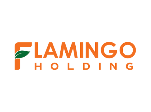 Flamingo Holdings