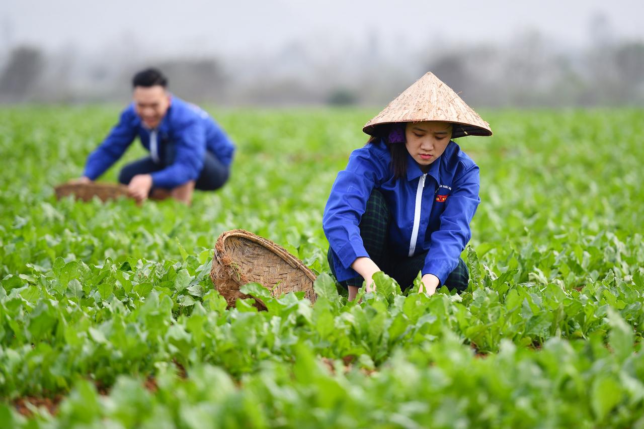 nông nghiệp.jpg