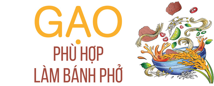 Bánh phở: Nghề ăn cũng lắm nhiêu khê - Ảnh 2.