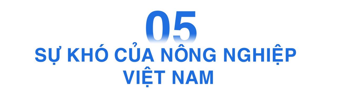 Câu chuyện về kỹ sư từ bỏ sự nghiệp ở Mỹ với mong ước người Việt được ăn sạch - 20