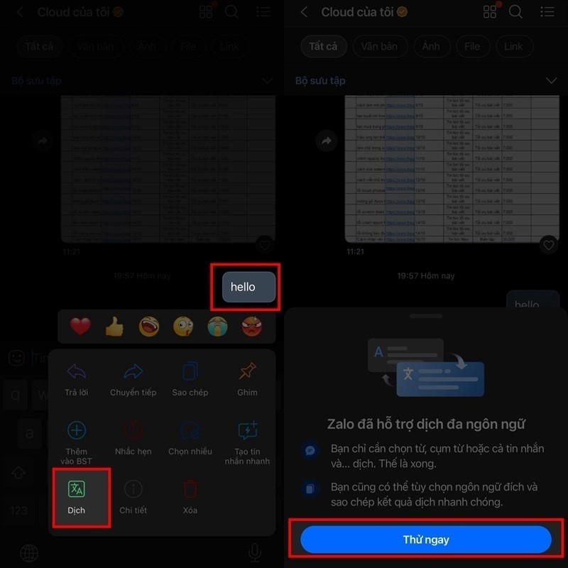 Hướng dẫn cách dịch tin nhắn trên Zalo cực chính xác
