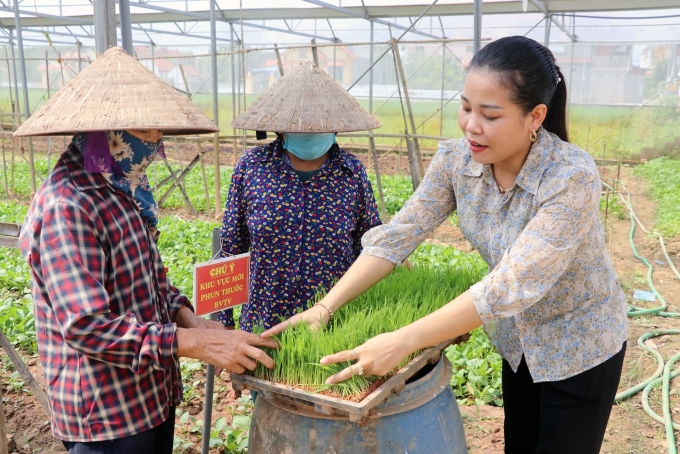 Chị Hà hướng dẫn nhân viên kỹ thuật reo mạ khay. Ảnh NVCC