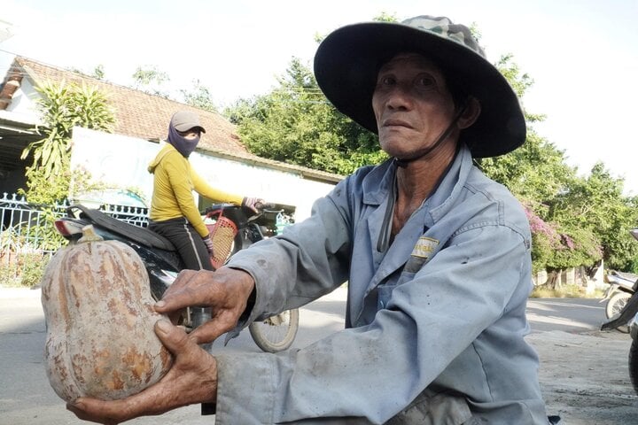 Ông Nhật cho biết, để trồng được trái bí đỏ như thế này, người nông dân phải chăm sóc 3 tháng trời ròng rã.