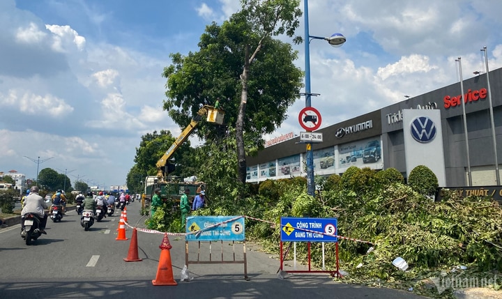 Một phần đường Trường Chinh được phong tỏa để đảm bảo an toàn trong quá trình đốn hạ cây xanh phục vụ dự án giao thông trọng điểm.