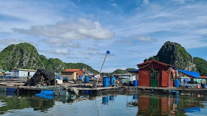 Một hộ nuôi cá lồng bè ở Cát Bà, Hải Phòng. Ảnh: Đại An