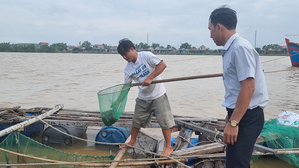 Cồn bãi giữa dòng Gianh: Những “cái nhất” ở Cồn Sẻ - Ảnh 5.