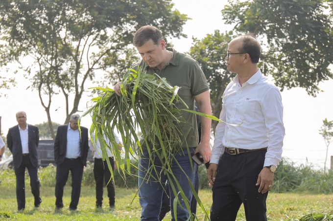 Ông Efremov Alexander Viktorovich bên những cánh đồng lớn trồng cỏ nguyên liệu làm thức ăn cho bò sữa TH. Ảnh: TH