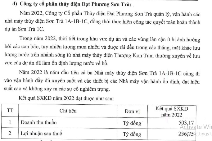 Ảnh trích chụp báo cáo thường niên của Đạt Phương năm 2022. 