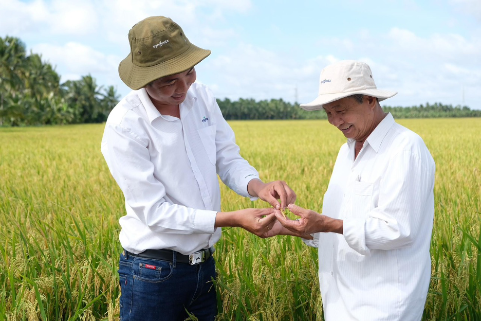 Nhân viên Syngenta đồng hành cùng người nông dân, tư vấn và hướng dẫn nâng cao kỹ thuật canh tác