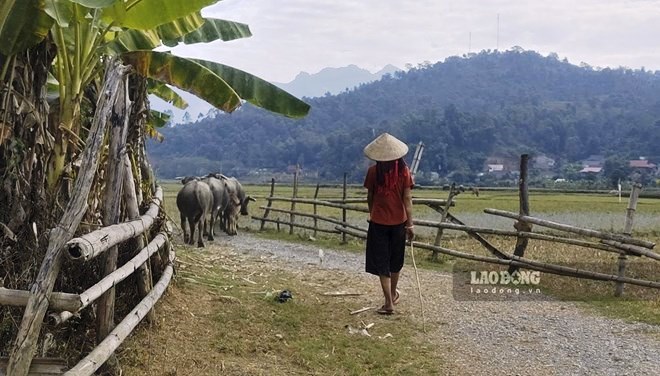 Cần rút ngắn khoảng cách các giữa vùng dân tộc thiểu số, miền núi với đồng bằng trong xây dựng nông thôn mới. Ảnh: Văn Thành Chương.