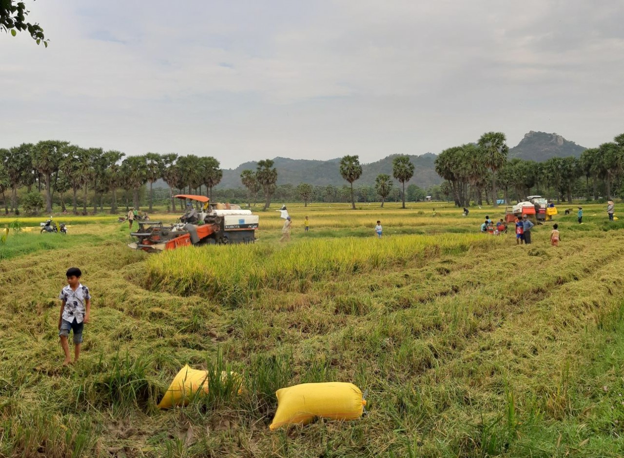 An Giang hỗ trợ đầu tư phát triển hạ tầng, nhiều mô hình sản xuất được triển khai trong đồng bào dân tộc thiểu số để hỗ trợ giảm nghèo bền vững.(Ảnh: Phương Nghi)