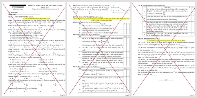 Đề thi minh họa giả đang lan truyền trên mạng. Ảnh: MOET