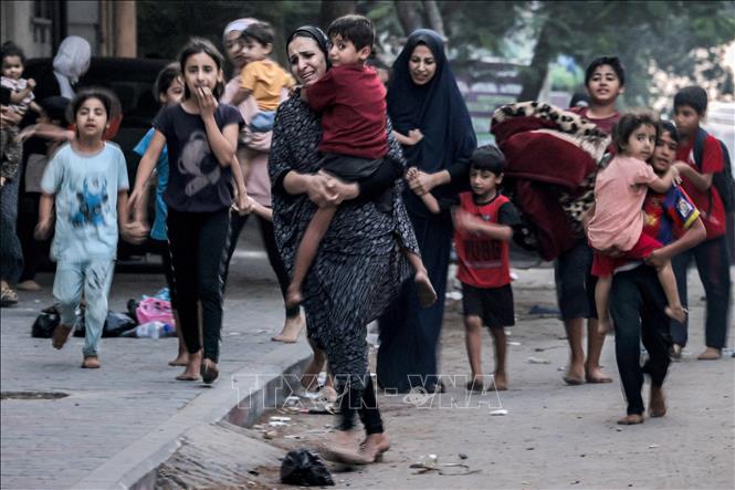 mong manh tinh mang dan thuong o gaza hinh 1