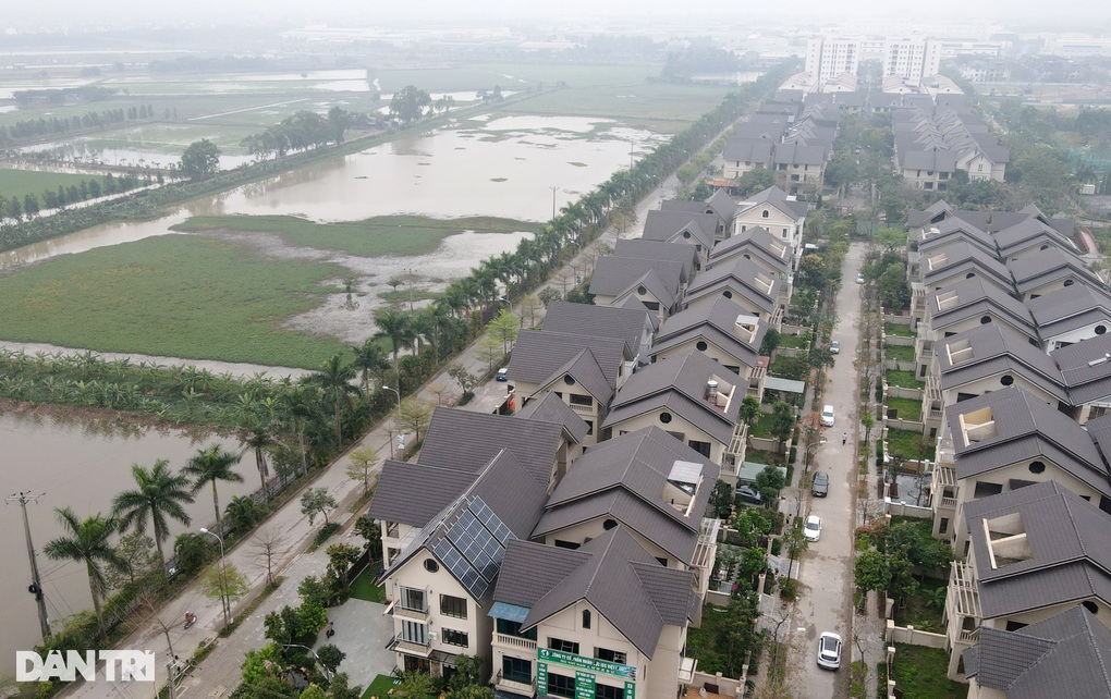 Ngăn chặn trường hợp cá nhân thu gom đất trồng lúa để đầu cơ - 1