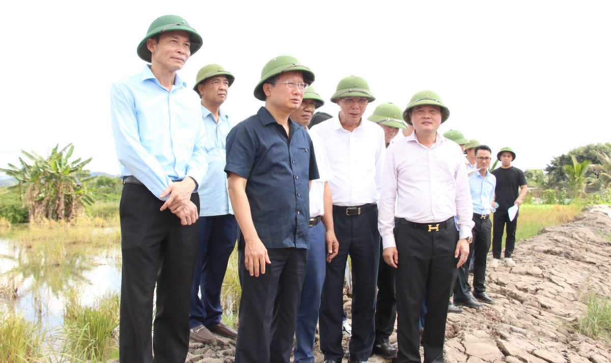 Bất động sản - Quảng Ninh: Yêu cầu dứt điểm giải phóng mặt bằng đường dẫn cầu nối với Hải Phòng